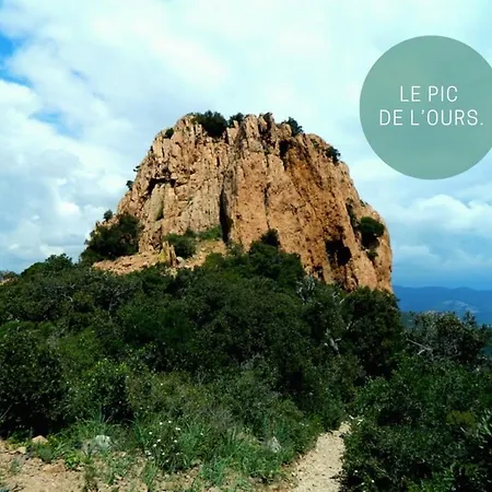 公寓 Rez De Jardin, Cap Esterel.